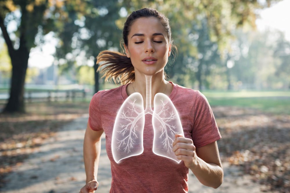 Importance of Lung Health in Modern Lifestyle
